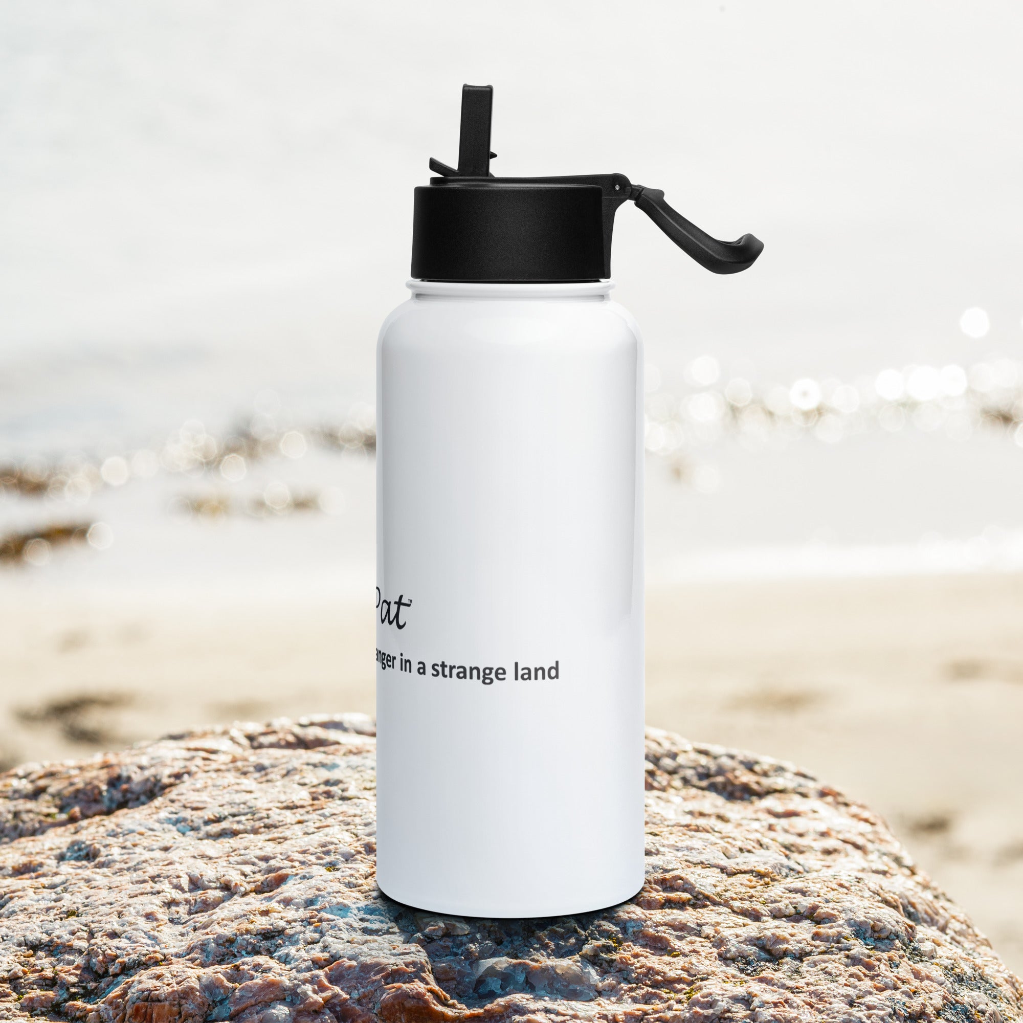 Stainless steel water bottle with a straw lid